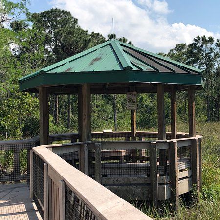 Hillsboro Pineland Natural Area
